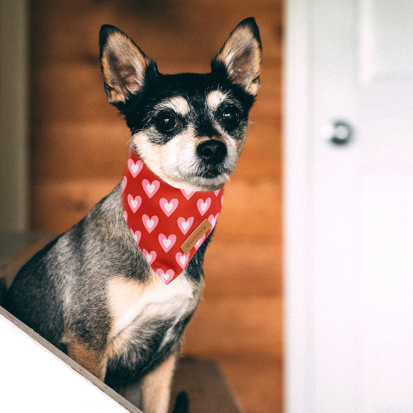 Valentine'S Day Dog Bandanas 2 Pack, Triangle Reversible Love Pet Scarf for Boy and Girl, Premium Durable Fabric, Holiday Bandana for Medium and Large Dogs (Large)